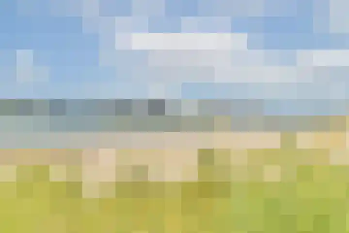 Muiderlaan 355 Amsterdam thumbnail 31