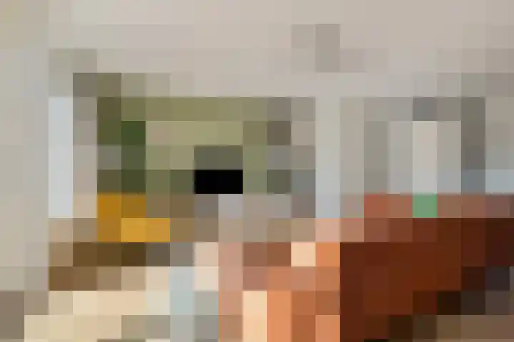 Muiderlaan 355 Amsterdam thumbnail 35
