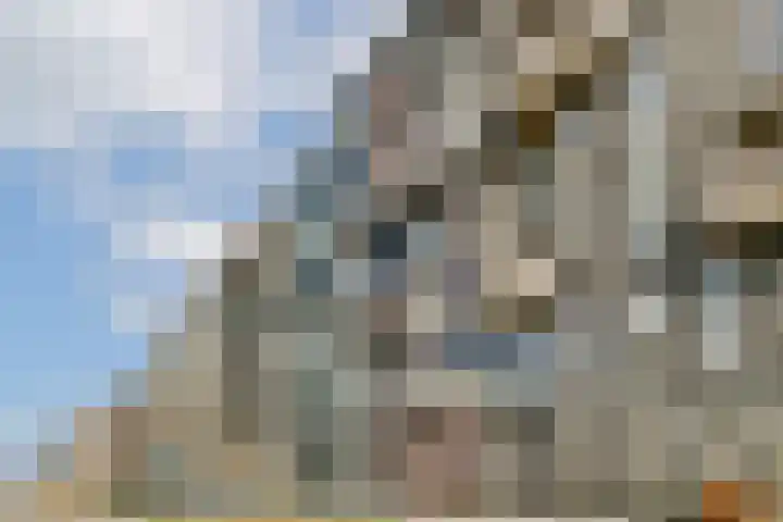 Muiderlaan 409 Amsterdam thumbnail 21