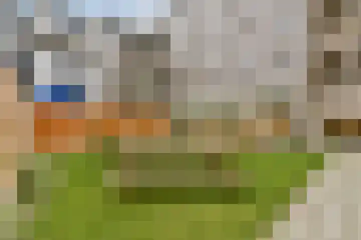 Muiderlaan 409 Amsterdam thumbnail 23