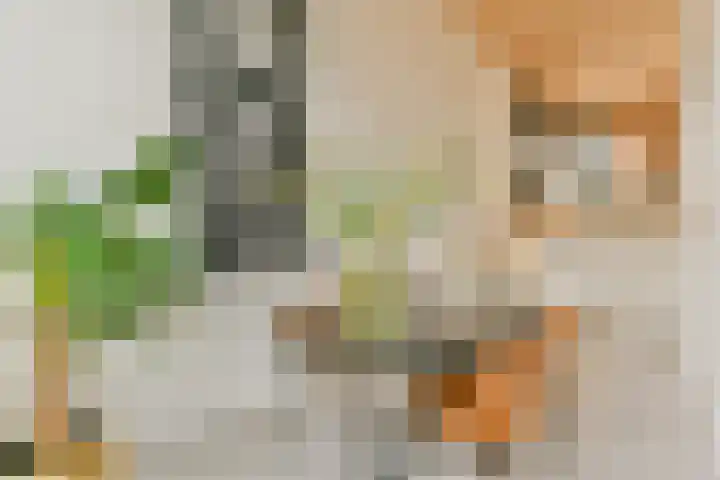 Muiderlaan 409 Amsterdam thumbnail 7