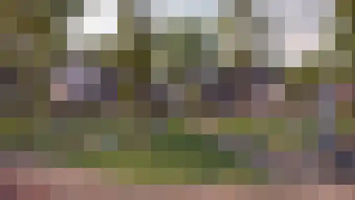 Mulder 86 Wijchen thumbnail 15