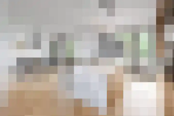 Mulder 90 Wijchen thumbnail 7