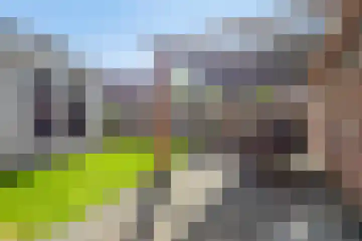 Mulderserf 2 Oploo thumbnail 4