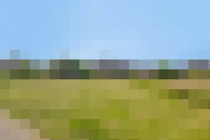 Mulderserf 2 Oploo thumbnail 46