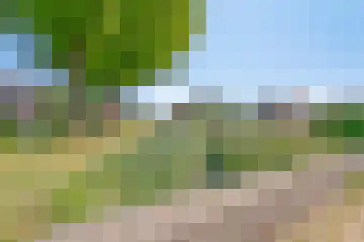 Mulderserf 2 Oploo thumbnail 47