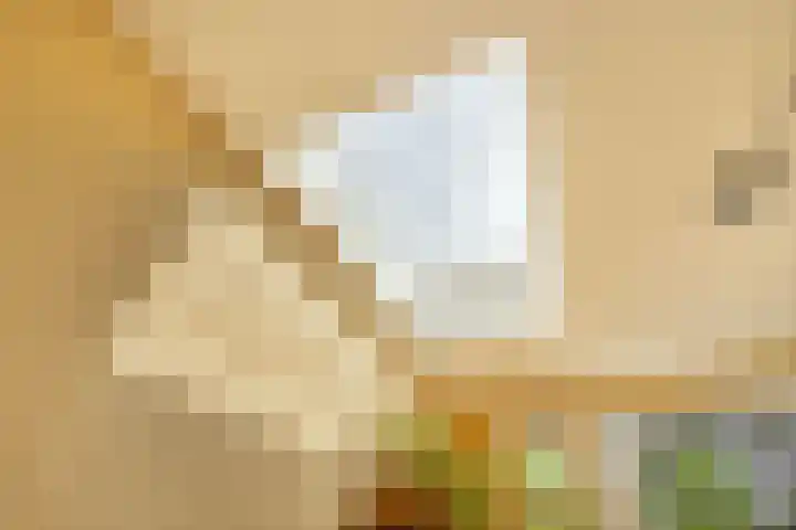 Muldershof 10 Horst thumbnail 28