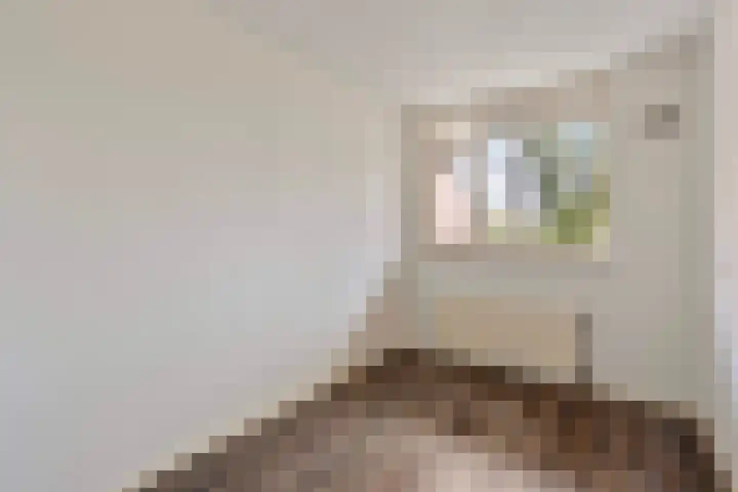Muldershof 11 Horst thumbnail 23