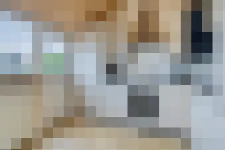 Mulderskamp 59 Goor thumbnail 13