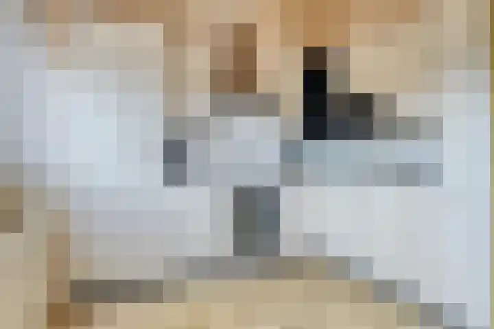 Mulderskamp 59 Goor thumbnail 14
