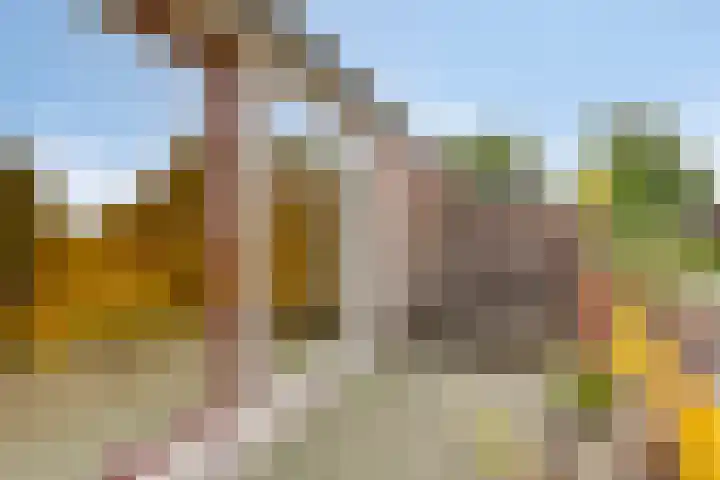Mulderskamp 59 Goor thumbnail 17
