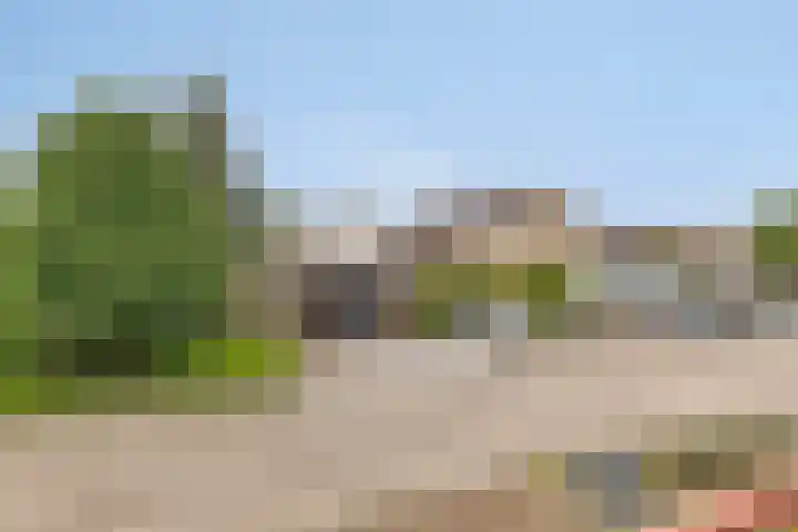 Mulderskamp 59 Goor thumbnail 18
