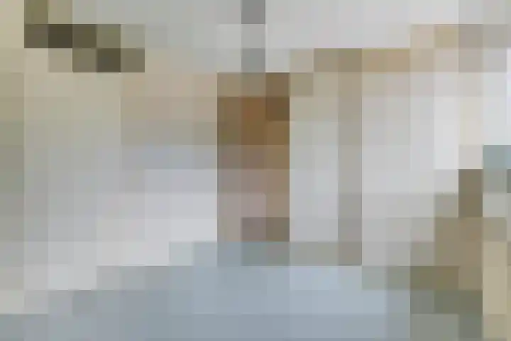 Mulderskamp 59 Goor thumbnail 21