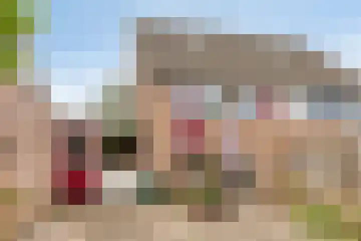 Mulderskamp 59 Goor thumbnail 33