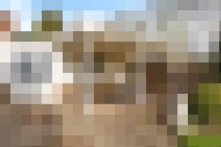 Muldersweg 10 Delden thumbnail 49