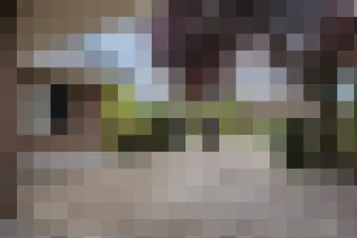 Muldersweg 12 Delden thumbnail 13