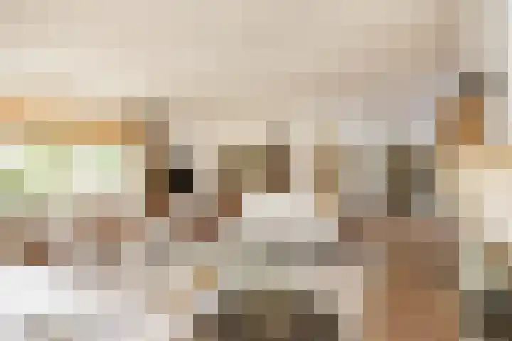 Muldersweg 12 Delden thumbnail 21