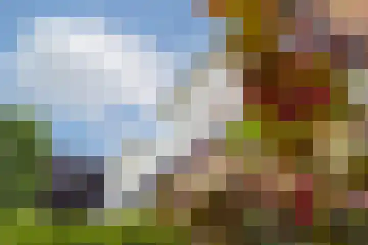 Muldersweg 12 Delden thumbnail 53