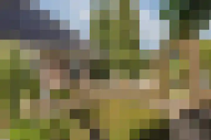 Muldersweg 12 Delden thumbnail 54