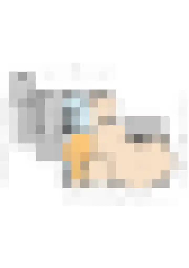 Muldersweg 12 Delden thumbnail 56