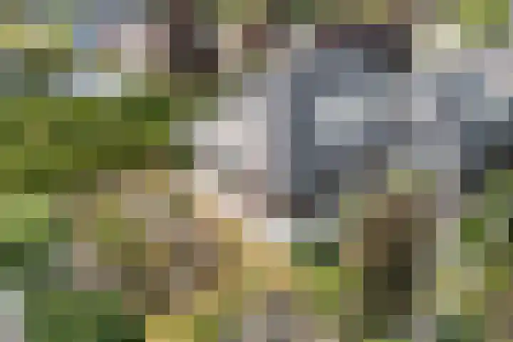 Muldersweg 12 Delden thumbnail 6