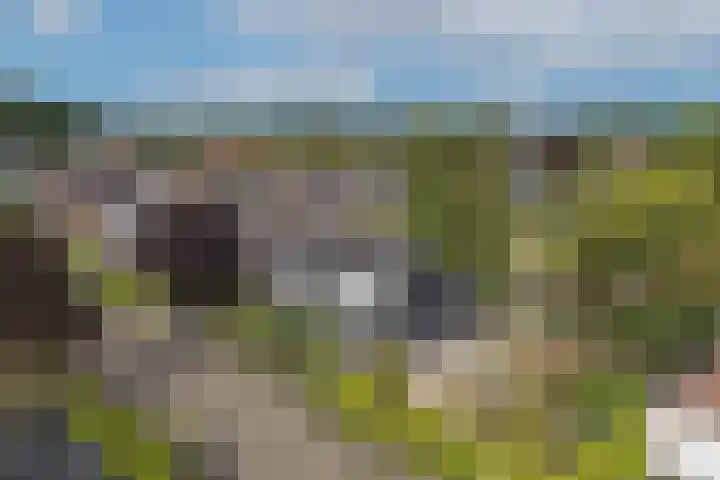 Muldersweg 12 Delden thumbnail 7