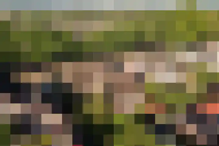 Muldersweg 27 Staphorst thumbnail 4
