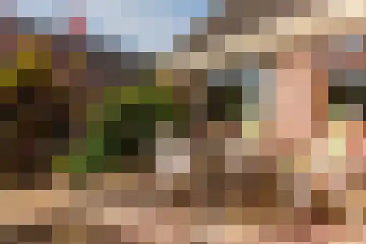 Muldersweg 27 Staphorst thumbnail 41