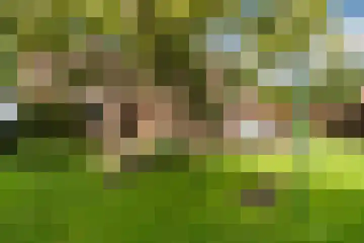 Muldersweg 27 Staphorst thumbnail 43
