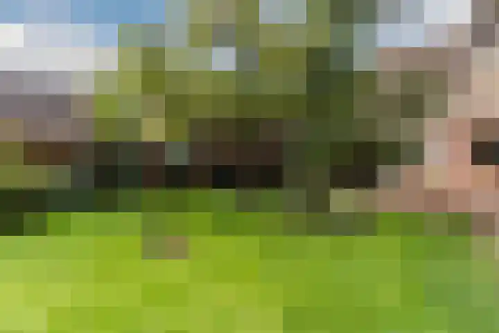 Muldersweg 27 Staphorst thumbnail 44