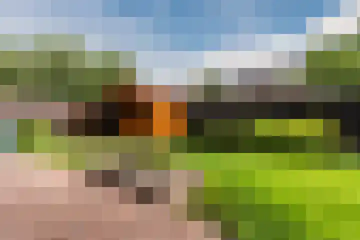 Muldersweg 27 Staphorst thumbnail 45