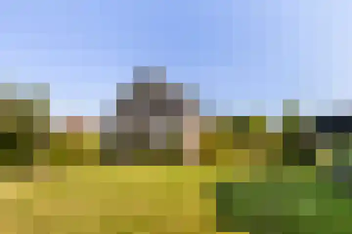 Mulseleane 28 Berltsum