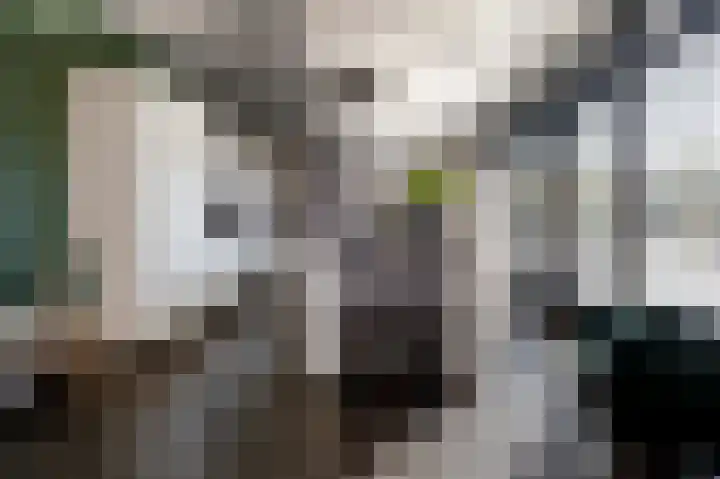 Mulseleane 28 Berltsum thumbnail 22
