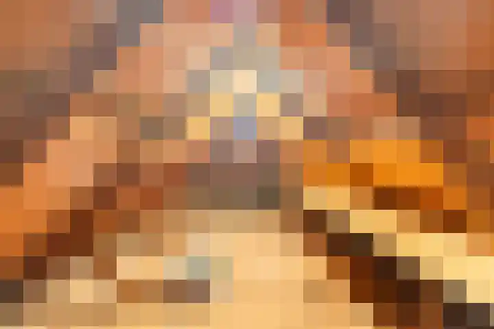 Mulseleane 28 Berltsum thumbnail 34