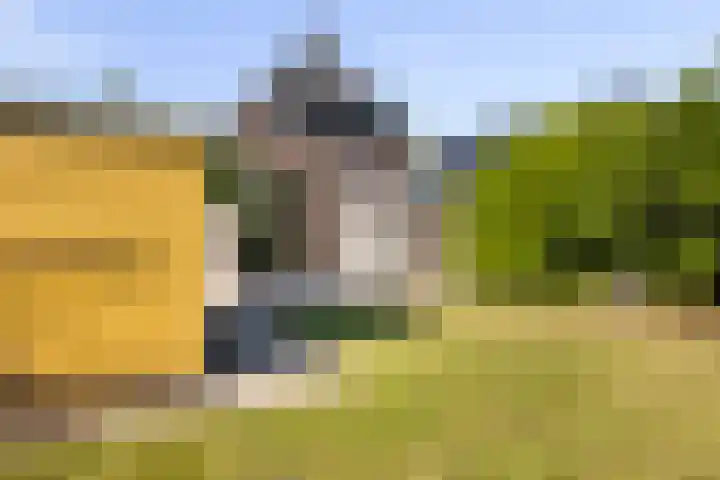 Mulseleane 28 Berltsum thumbnail 43
