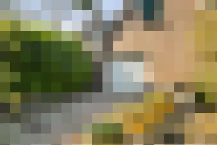 Mulseleane 28 Berltsum thumbnail 48