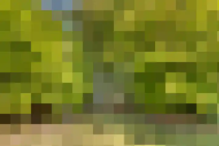 Mulseleane 28 Berltsum thumbnail 49