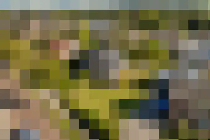 Mulseleane 28 Berltsum thumbnail 53