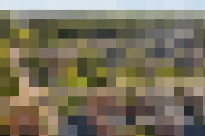 Mulseleane 28 Berltsum thumbnail 55