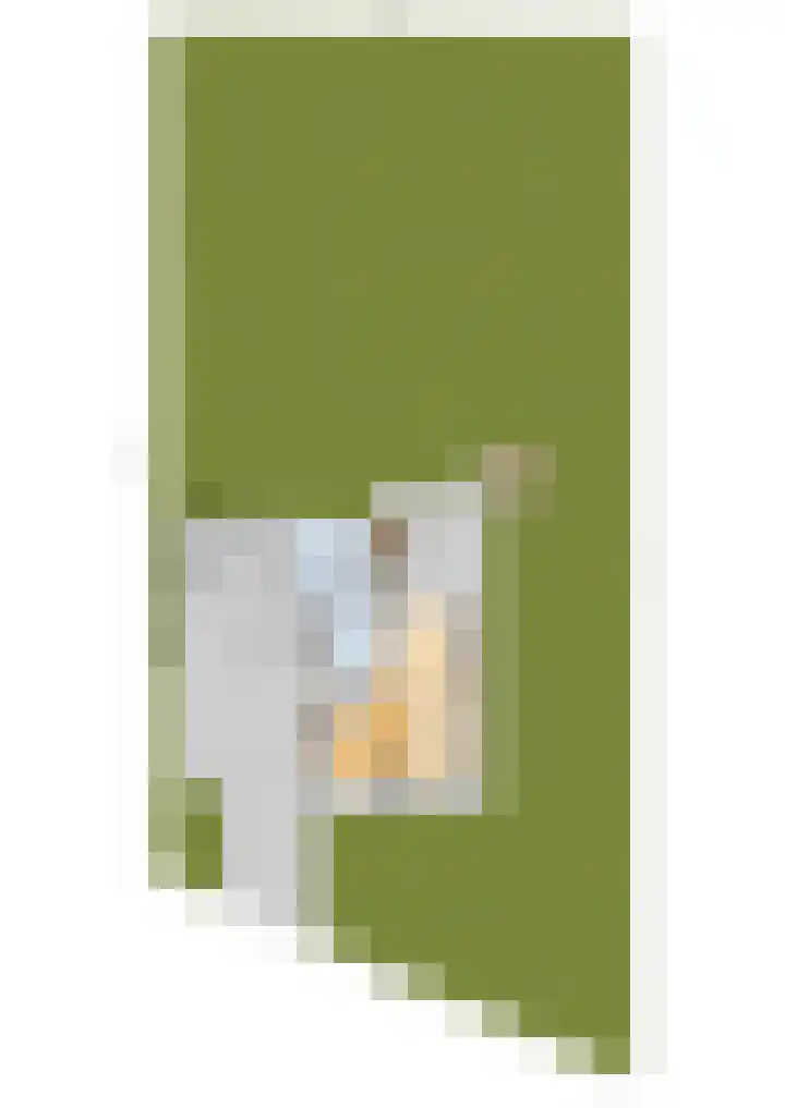 Mulseleane 28 Berltsum thumbnail 68