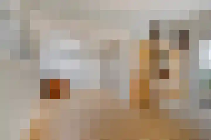 Multatulihof 4 Oss thumbnail 19