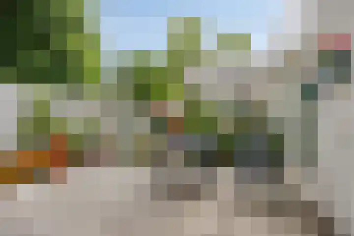 Multatulihof 4 Oss thumbnail 33