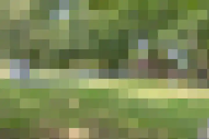Multatulihof 4 Oss thumbnail 39