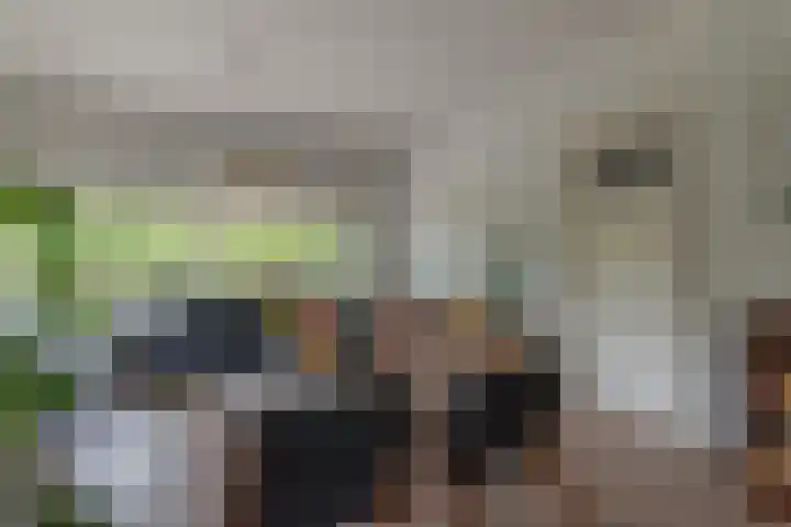 Multatulilaan 67 Hilversum thumbnail 10