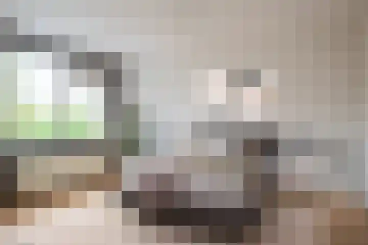 Multatulistraat 71 Gorinchem thumbnail 7