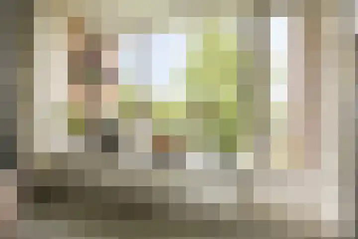 Multatulistraat 96 Groningen thumbnail 23