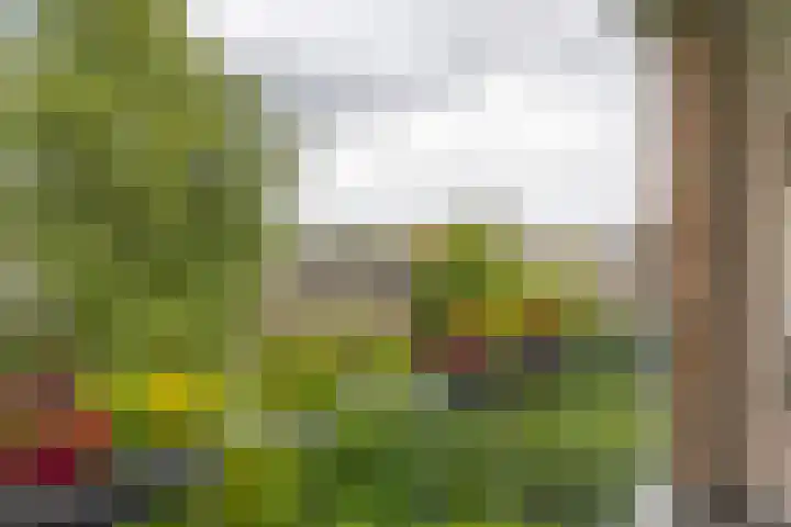 Multatulistraat 96 Groningen thumbnail 6