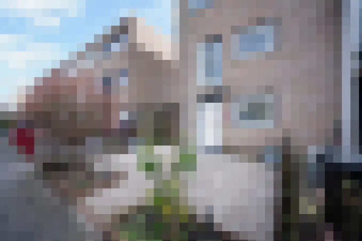 Multatuliweg 17 Almere thumbnail 5