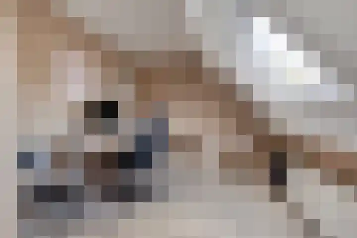 Multatuliweg 64 Muntendam thumbnail 21