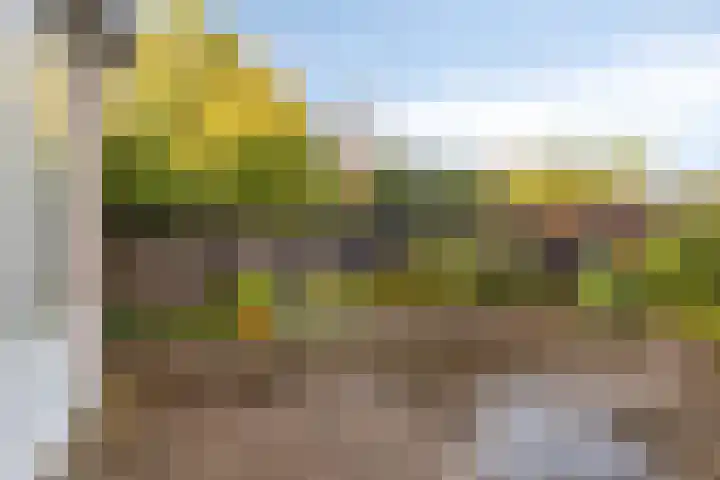 Multatuliweg 64 Muntendam thumbnail 29